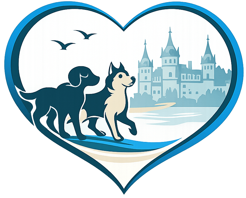 Dogwalking Schwerin – Gassiservice & Hundeberatung in Schwerin